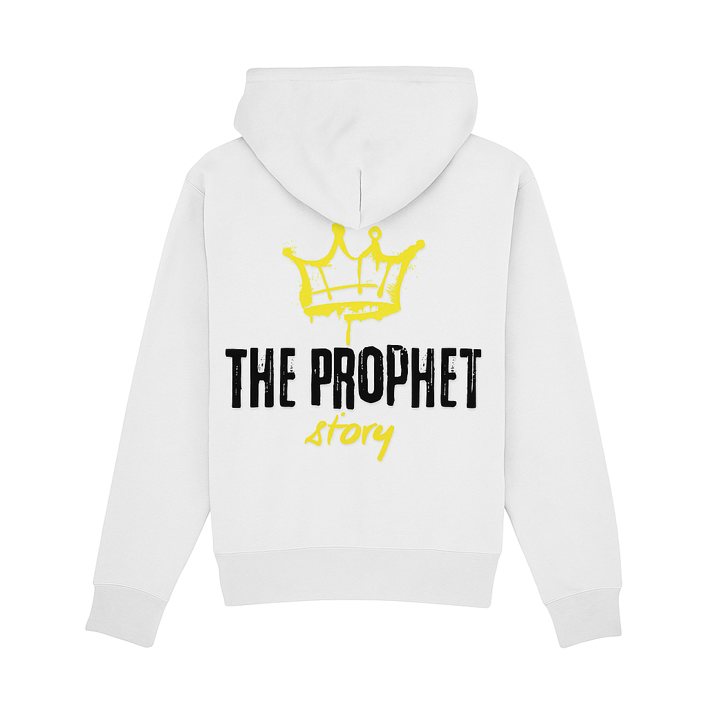 ProphetKid Mixed Colorway Hoodie