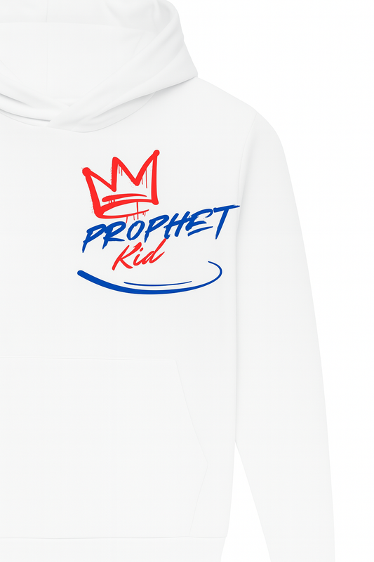 ProphetKid Mixed Colorway Hoodie